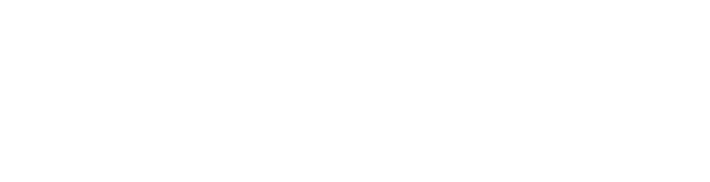 Charity Navigvator Logo